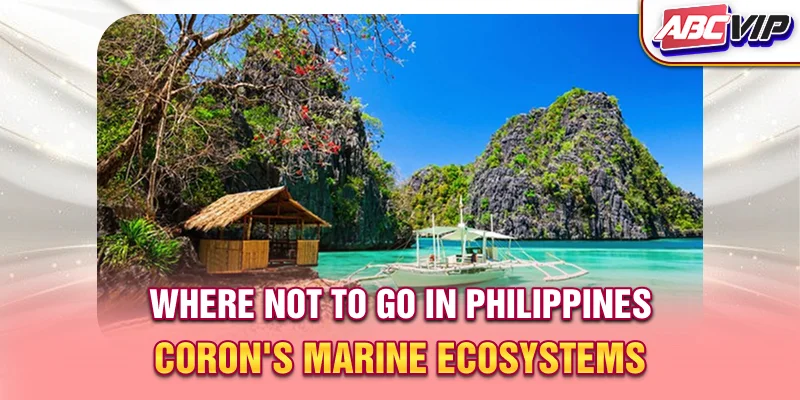 Where not to go in Philippines? - Coron's Marine Ecosystems